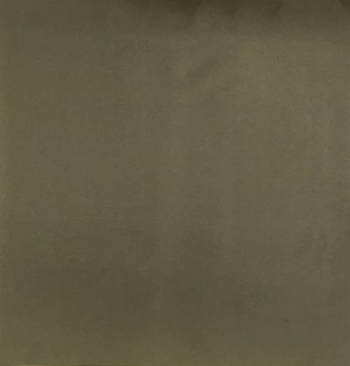 Poly Taffeta Dyed Plain Fabric