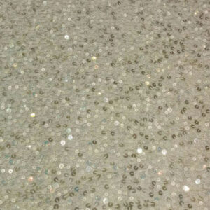Fancy Embroidered Nylon Net Fabric