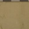 Linear Floral Motif on Sheer Fabric
